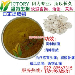 白芷提取物與西安維特生物科技的創新實踐