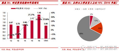 價值目錄 光伏封裝材料龍頭福斯特，二十三載專注成就行業(yè)標(biāo)桿