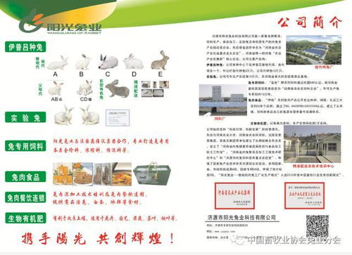 第七屆2017中國兔業(yè)發(fā)展大會 行業(yè)精英齊聚，技術(shù)與服務(wù)共繪產(chǎn)業(yè)藍圖